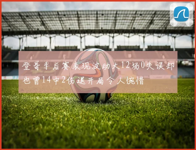 登哥季后赛表现波动大12场0失误却也曾14中2伤退开局令人惋惜