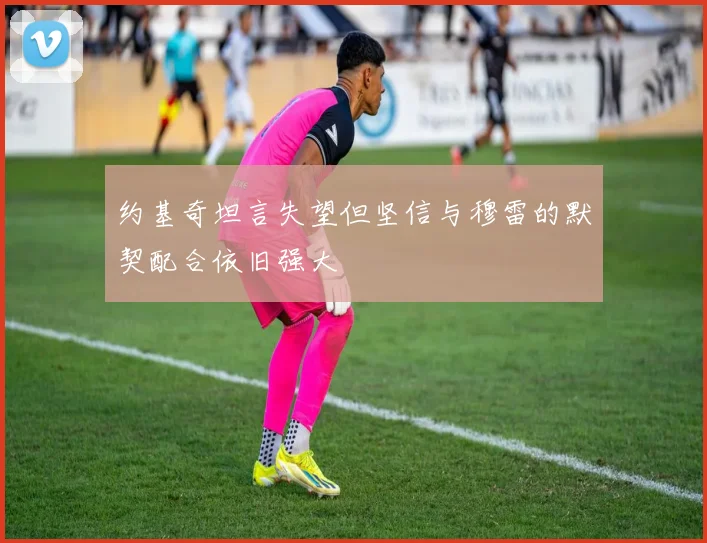 约基奇坦言失望但坚信与穆雷的默契配合依旧强大